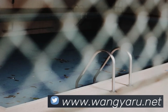 App Interface Preview